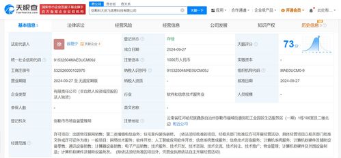 科大訊飛云南子公司成立，千萬元資本注入加速西南市場布局